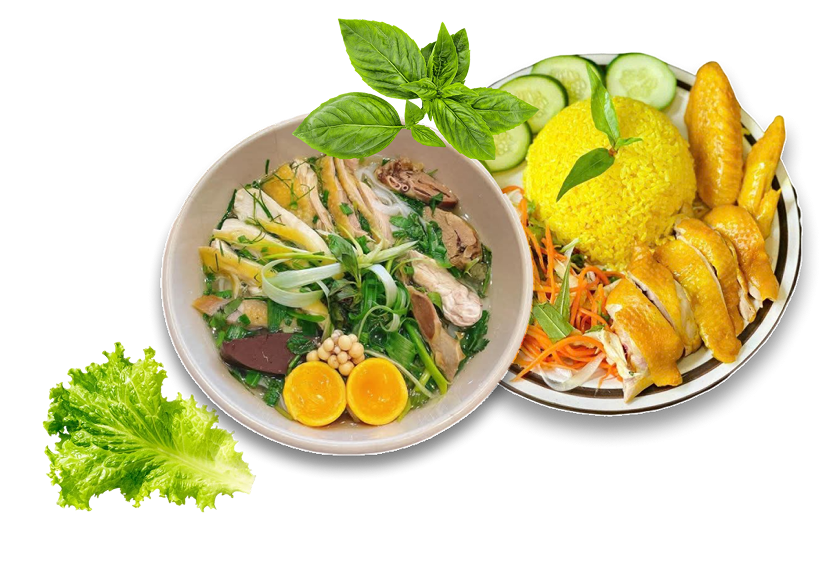 Phở gà - Cơm đảo 88